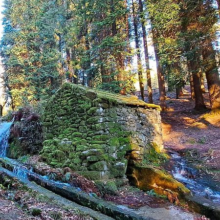 Matos Casas De Campo Cabeceiras de Basto Bagian luar foto