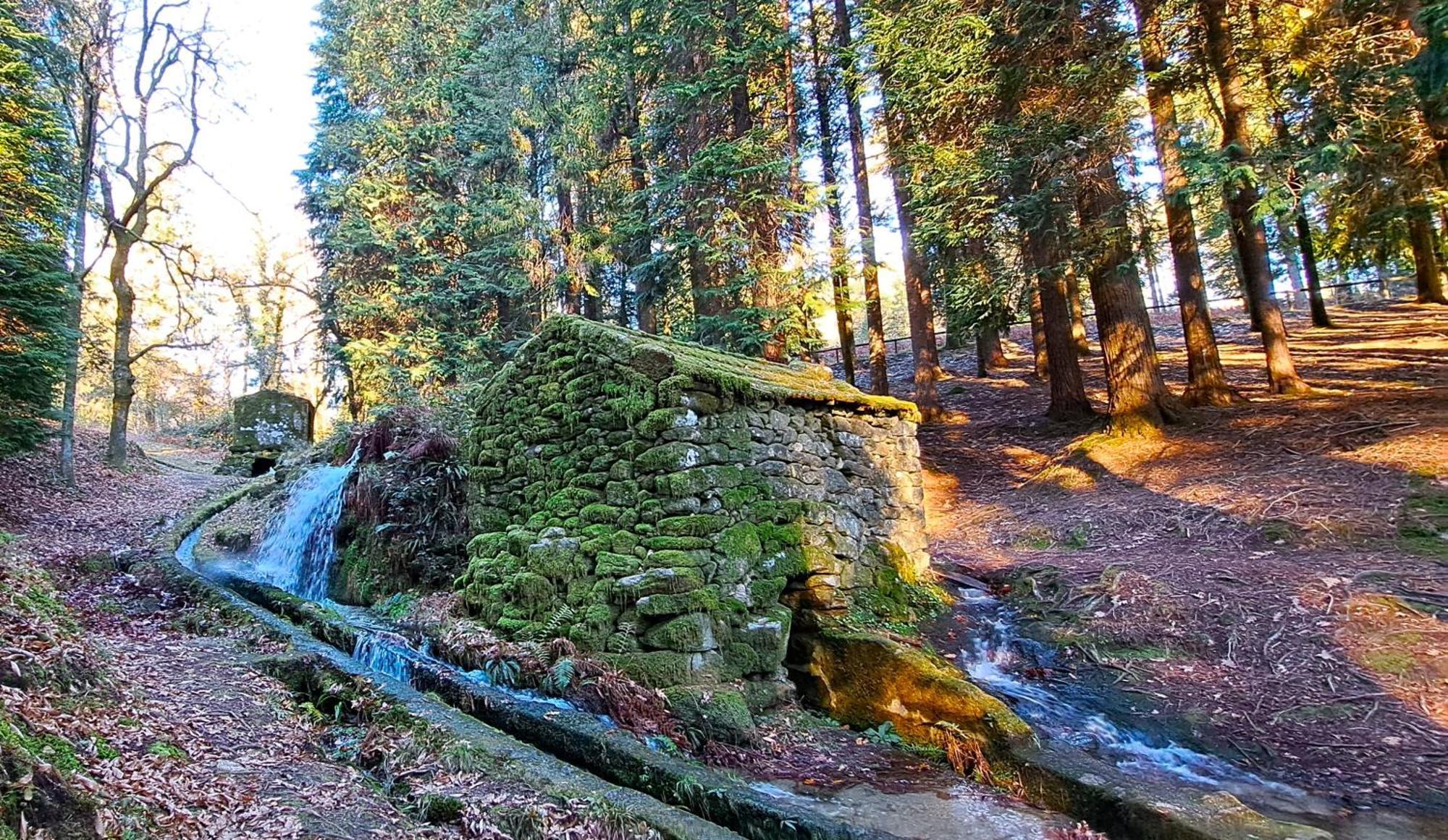 Matos Casas De Campo Cabeceiras de Basto Bagian luar foto