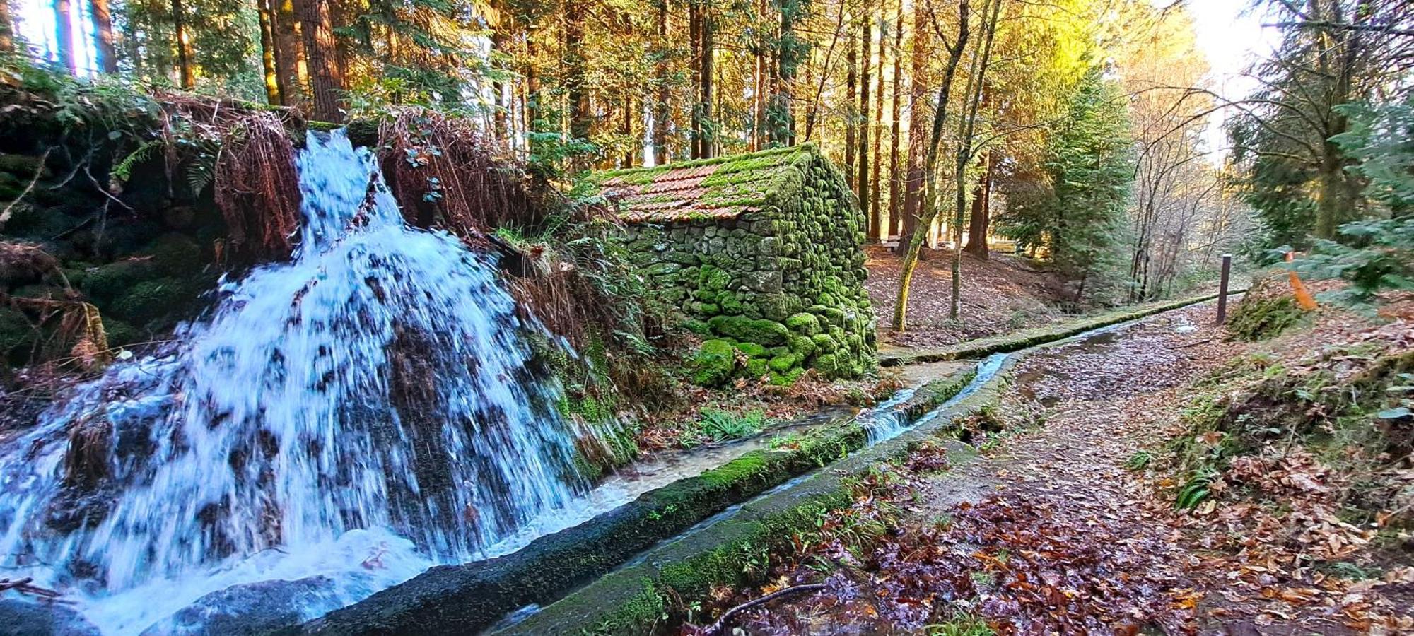 Matos Casas De Campo Cabeceiras de Basto Bagian luar foto