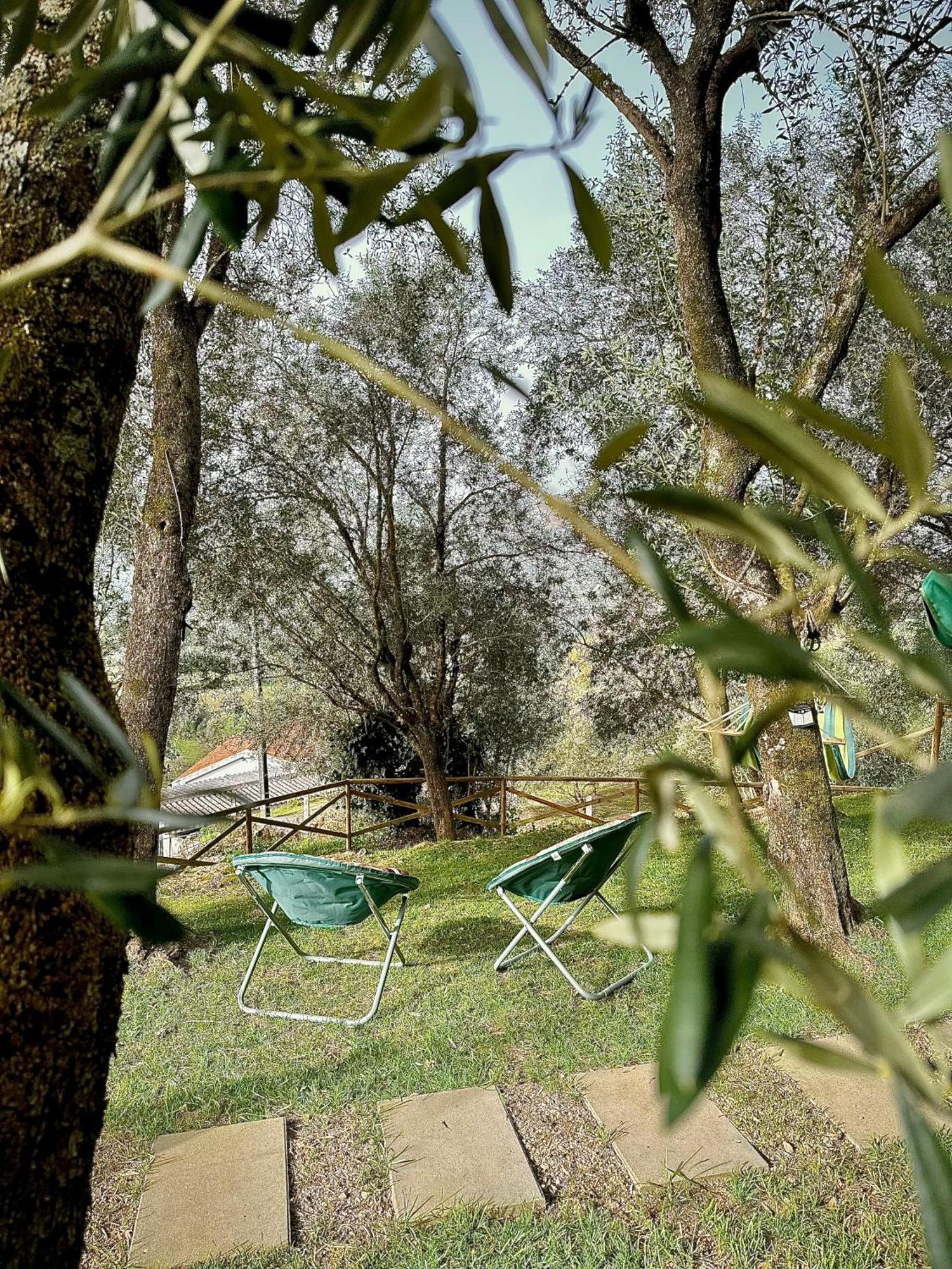Matos Casas De Campo Cabeceiras de Basto Bagian luar foto